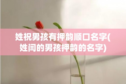 姓祝男孩有押韵顺口名字(姓闫的男孩押韵的名字)