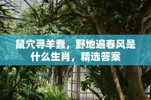 鼠穴寻羊蠢，野地遍春风是什么生肖，精选答案