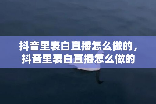 抖音里表白直播怎么做的，抖音里表白直播怎么做的