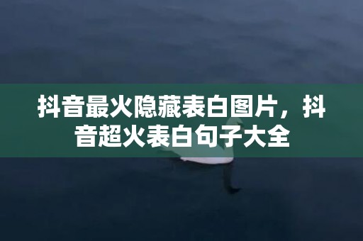 抖音最火隐藏表白图片，抖音超火表白句子大全