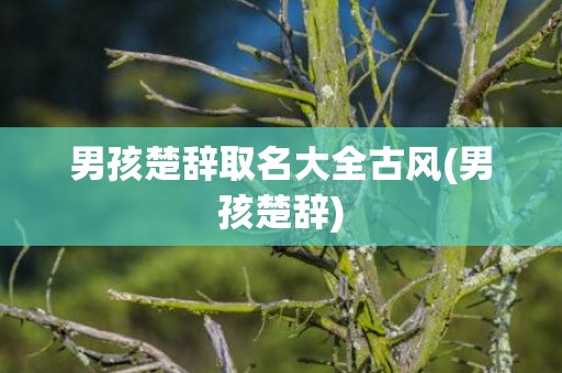 男孩楚辞取名大全古风(男孩楚辞)