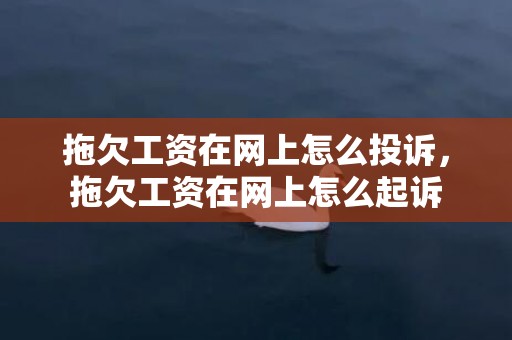 拖欠工资在网上怎么投诉，拖欠工资在网上怎么起诉