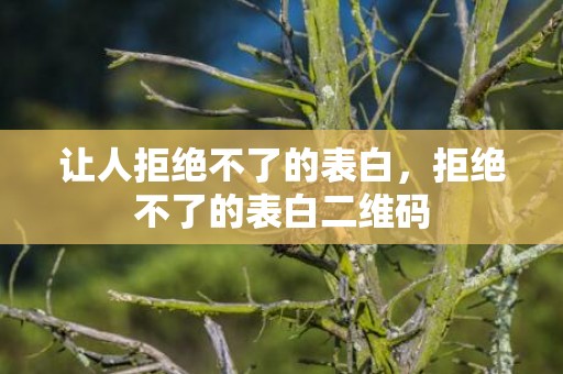 让人拒绝不了的表白，拒绝不了的表白二维码