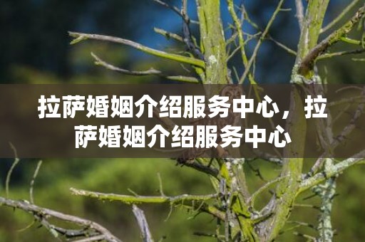 拉萨婚姻介绍服务中心，拉萨婚姻介绍服务中心