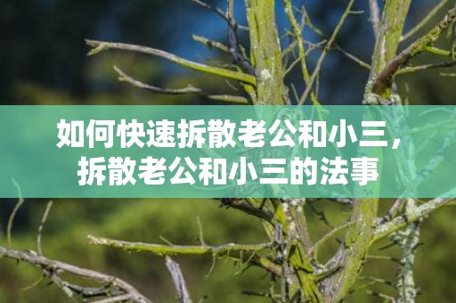 如何快速拆散老公和小三，拆散老公和小三的法事