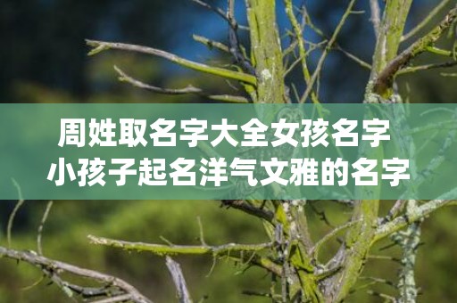 周姓取名字大全女孩名字 小孩子起名洋气文雅的名字(周姓取名字大全女孩名字属虎)