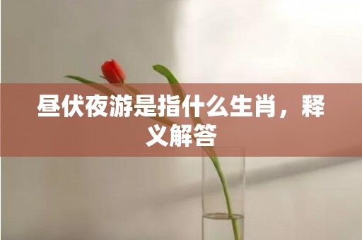昼伏夜游是指什么生肖，释义解答