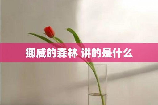 挪威的森林 讲的是什么