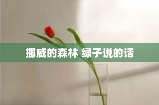 挪威的森林 绿子说的话