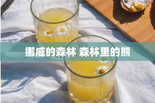挪威的森林 森林里的熊
