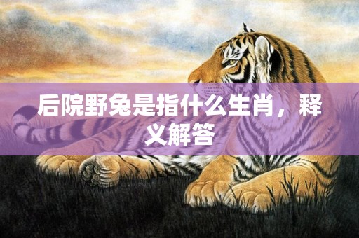 后院野兔是指什么生肖，释义解答