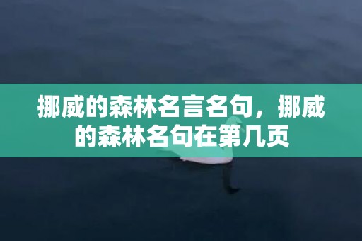 挪威的森林名言名句，挪威的森林名句在第几页