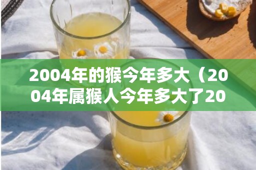 2004年的猴今年多大（2004年属猴人今年多大了20232004年属猴今年几岁了）