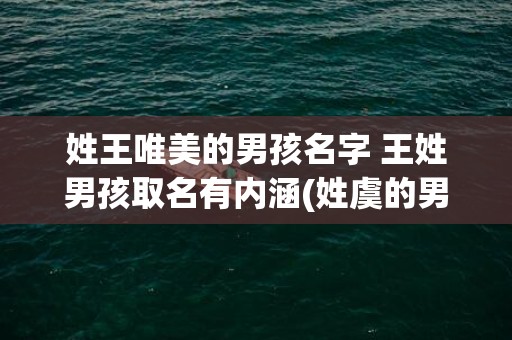 姓王唯美的男孩名字 王姓男孩取名有内涵(姓虞的男孩名字唯美)