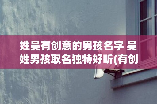 姓吴有创意的男孩名字 吴姓男孩取名独特好听(有创意的男孩手工衣服)