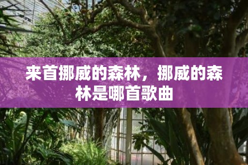 来首挪威的森林，挪威的森林是哪首歌曲