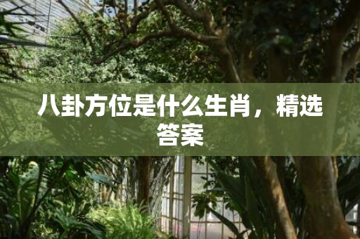 八卦方位是什么生肖，精选答案