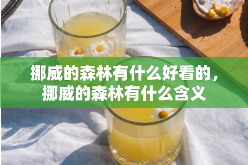挪威的森林有什么好看的，挪威的森林有什么含义