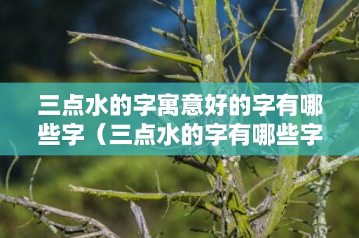 三点水的字寓意好的字有哪些字（三点水的字有哪些字三点水的字1000个）