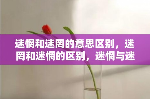 迷惘和迷罔的意思区别，迷罔和迷惘的区别，迷惘与迷茫的意思有什么区别