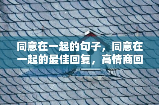 同意在一起的句子，同意在一起的最佳回复，高情商回复我愿意和你在一起