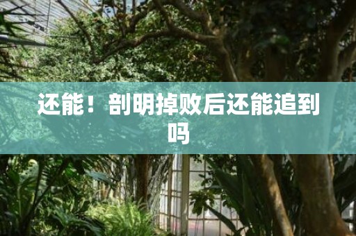 还能！剖明掉败后还能追到吗