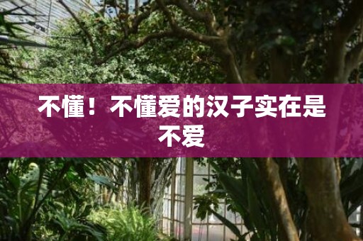 不懂！不懂爱的汉子实在是不爱