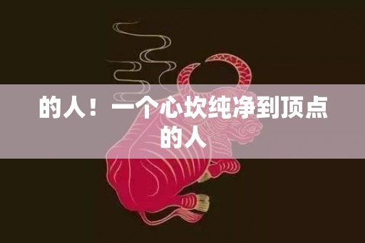的人！一个心坎纯净到顶点的人