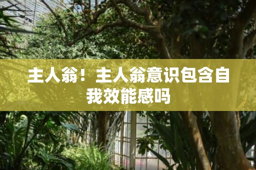 主人翁！主人翁意识包含自我效能感吗