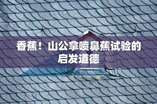 香蕉！山公拿喷鼻蕉试验的启发道德