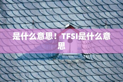 是什么意思！TFSI是什么意思