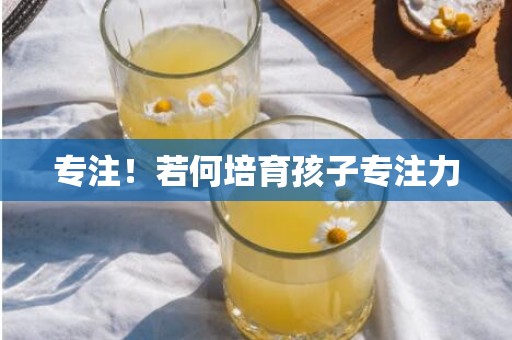 专注！若何培育孩子专注力