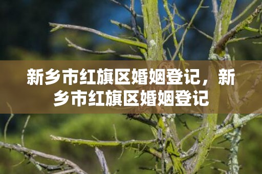 新乡市红旗区婚姻登记，新乡市红旗区婚姻登记