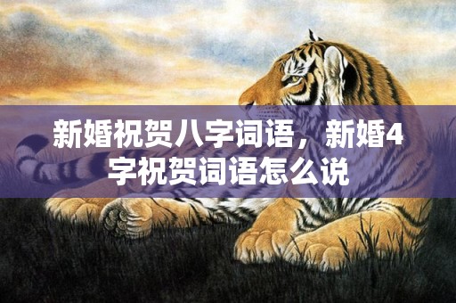 新婚祝贺八字词语，新婚4字祝贺词语怎么说