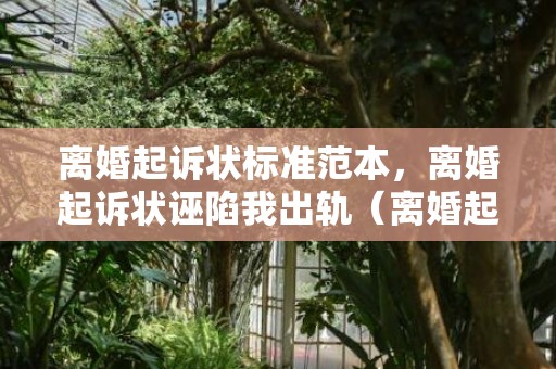 离婚起诉状标准范本，离婚起诉状诬陷我出轨（离婚起诉书诬告）