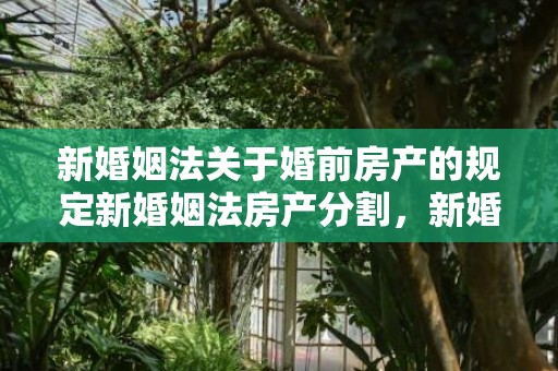 新婚姻法关于婚前房产的规定新婚姻法房产分割，新婚姻法关于婚前房产分割