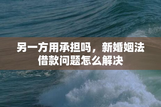 另一方用承担吗，新婚姻法借款问题怎么解决