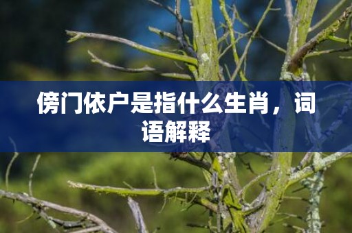 傍门依户是指什么生肖，词语解释