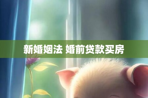 新婚姻法 婚前贷款买房