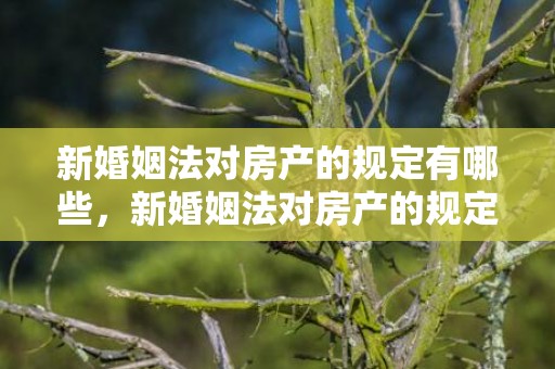 新婚姻法对房产的规定有哪些，新婚姻法对房产的规定最新