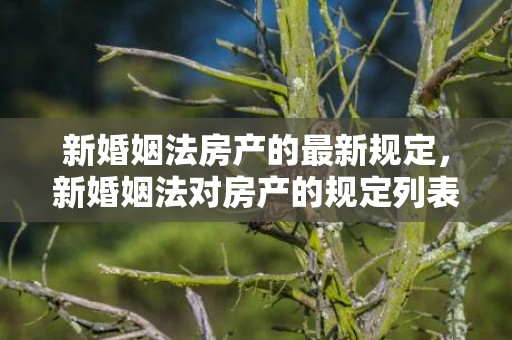 新婚姻法房产的最新规定，新婚姻法对房产的规定列表