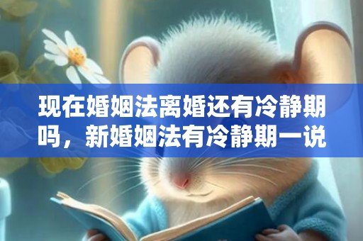 现在婚姻法离婚还有冷静期吗，新婚姻法有冷静期一说吗