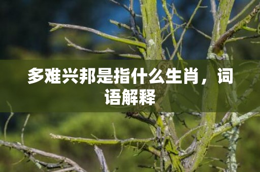 多难兴邦是指什么生肖，词语解释