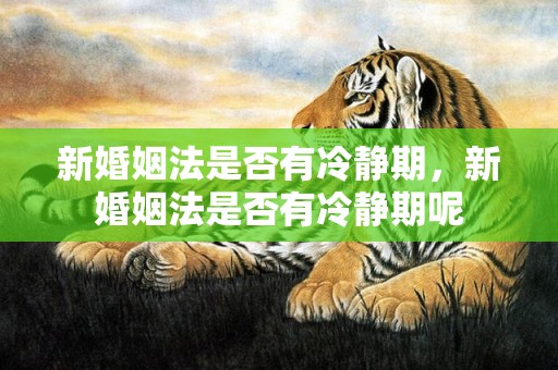 新婚姻法是否有冷静期，新婚姻法是否有冷静期呢