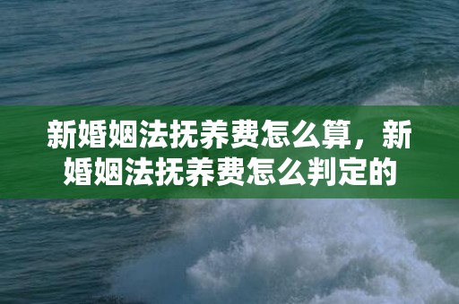 新婚姻法抚养费怎么算，新婚姻法抚养费怎么判定的