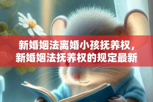 新婚姻法离婚小孩抚养权，新婚姻法抚养权的规定最新