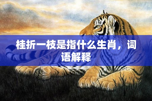 桂折一枝是指什么生肖，词语解释