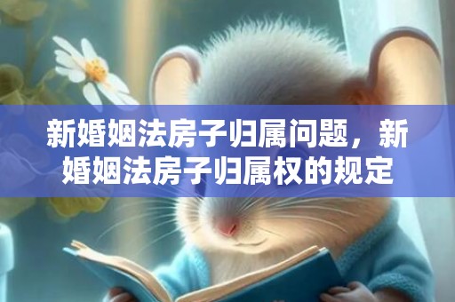 新婚姻法房子归属问题，新婚姻法房子归属权的规定