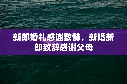 新郎婚礼感谢致辞，新婚新郎致辞感谢父母