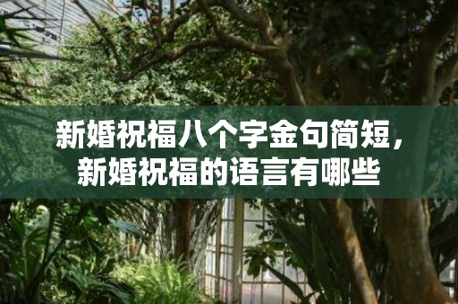 新婚祝福八个字金句简短，新婚祝福的语言有哪些